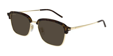 SOLID BROWN LENSES WITH GOLD FRAME