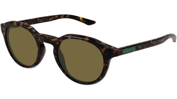 SOLID BROWN LENSES WITH HAVANA FRAME