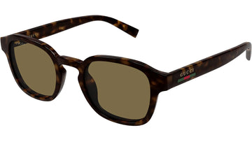 SOLID BROWN LENSES WITH SHINY HAVANA FRAME