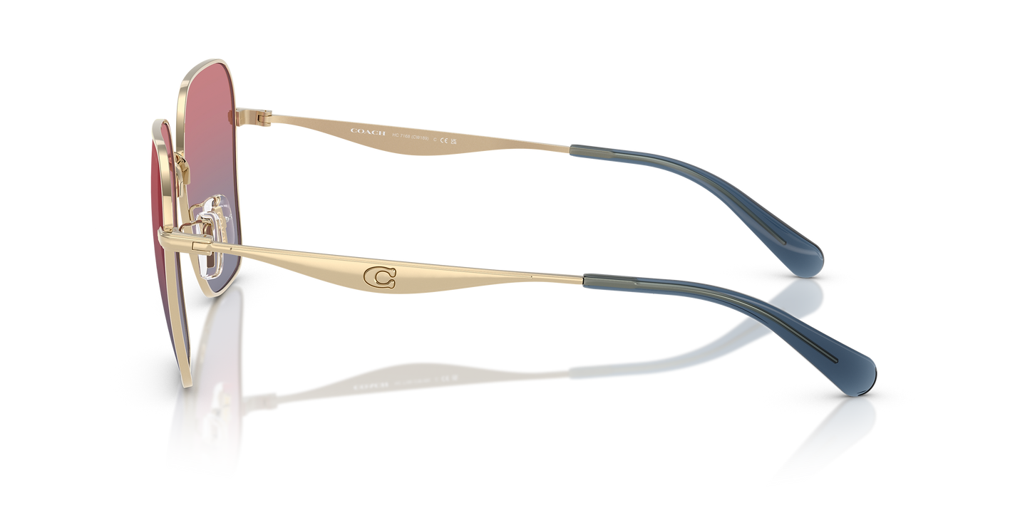 HC 7168S