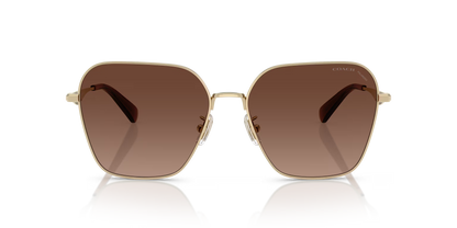 HC 7168S