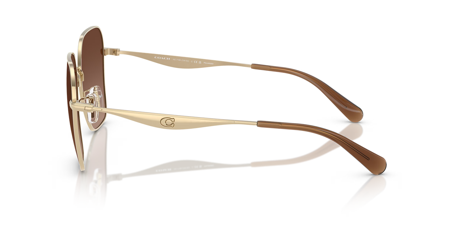 HC 7168S