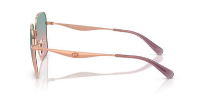 HC 7168S