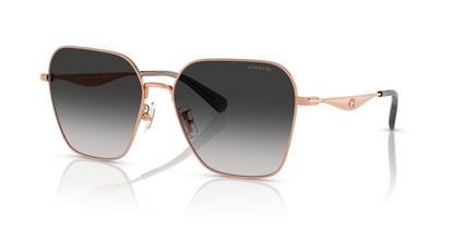 HC 7168S