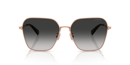 HC 7168S