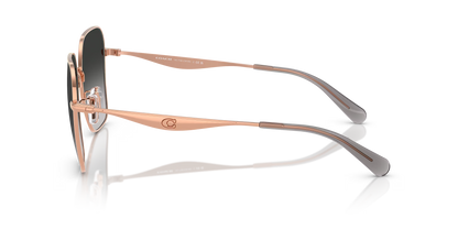 HC 7168S