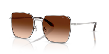 BROWN GRADIENT LENSES WITH SLIVER DARK TORTOISE FRAME