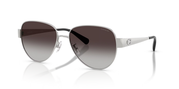 GRAY GRADIENT LENSES WITH SLIVER FRAME