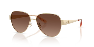 BROWN GRADIENT POLARIZED LENSES WITH GOLD FRAME