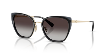 GRAY GRADIENT LENSES WITH LIGHT GOLD FRAME