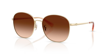 BROWN GRADIENT LENSES WITH LIGHT GOLD FRAME