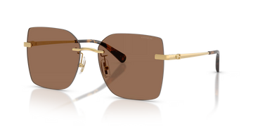 SOLID BROWN LENSES WITH LIGHT GOLD FRAME