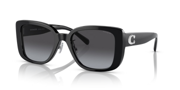GRAY GRADIENT LENSES WITH BLACK FRAME