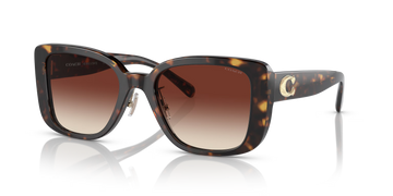 BROWN GRADIENT LENSES WITH HAVANA FRAME