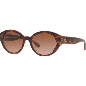 BROWN GRADIENT LENSES WITH HAVANA FRAME