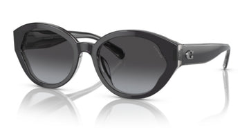 GRAY GRADIENT LENSES WITH BLACK FRAME