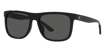 SOLID GRAY LENSES WITH BLACK FRAME