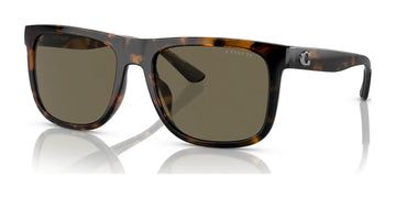 SOLID BROWN LENSES WITH DARK HAVANA FRAME