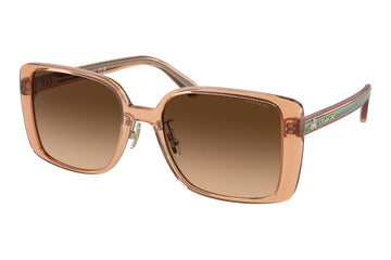 BROWN GRADIENT LENSES WITH TRANSPARENT BROWN FRAME