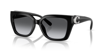 GRAY GRADIENT POLARIZED LENSES WITH BLACK FRAME