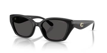 SOLID GRAY LENSES WITH BLACK FRAME