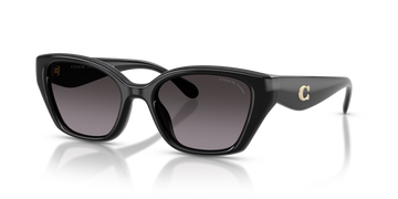 GRAY GRADIENT POLARIZED LENSES WITH BLACK FRAME