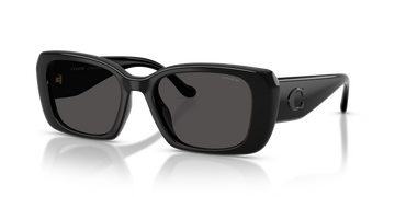 SOLID GRAY LENSES WITH BLACK FRAME