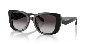 GRAY GRADIENT LENSES WITH SHINY BLACK FRAME