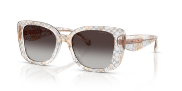 GRAY GRADIENT LENSES WITH TRANSPARENT GRAY FRAME