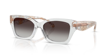 GRAY GRADIENT LENSES WITH TRANSPARENT GRAY FRAME