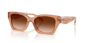 BROWN GRADIENT LENSES WITH TRANSPARENT BROWN FRAME