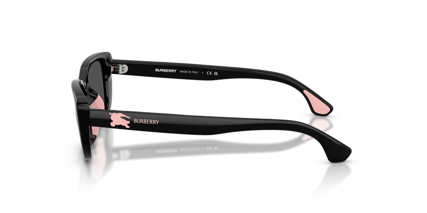JB 4006U