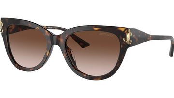 BROWN GRADIENT LENSES WITH HAVANA FRAME