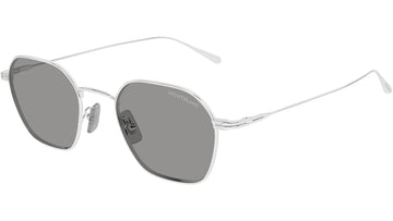 SOLID LIGHT GRAY LENSES WITH SHINY SILVER FRAME