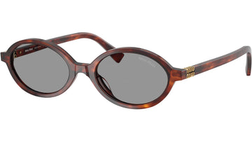 LIGHT GRAY LENSES WITH HAVANA FRAME