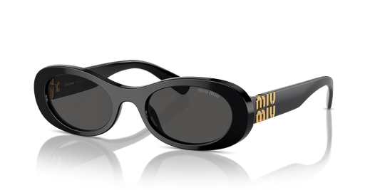 SMU 06ZS