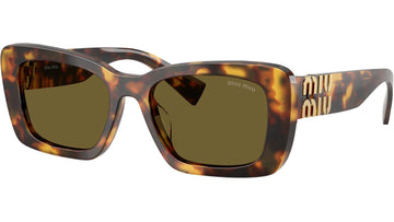 SOLID BROWN LENSES WITH HONEY HAVANA FRAME