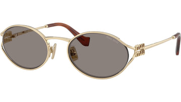 SOLID GRAY LENSES WITH GOLD FRAME