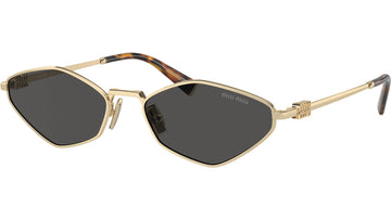 SOLID GRAY LENSES WITH GOLD FRAME