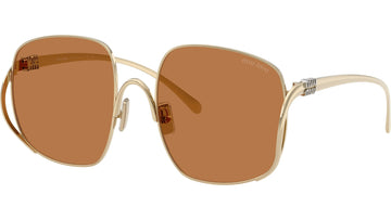 SOLID BROWN LENSES WITH GOLD FRAME