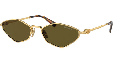 SOLID BROWN LENSES WITH GOLD FRAME