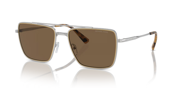 SOLID BROWN LENSES WITH SLIVER FRAME
