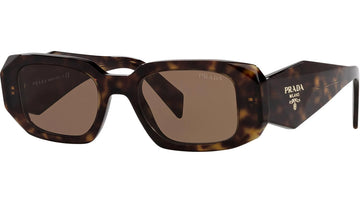 SOLID BROWN LENSES WITH DARK HAVANA FRAME