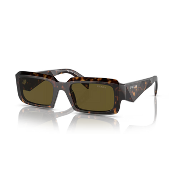 SOLID BROWN LENSES WITH HAVANA FRAME