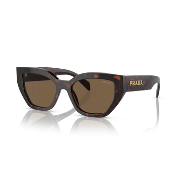 SOLID BROWN LENSES WITH HAVANA FRAME