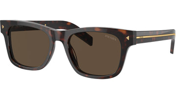 SOLID BROWN LENSES WITH HAVANA FRAME