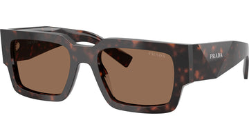 SOLID BROWN LENSES WITH HAVANA FRAME