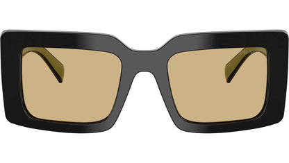 PR D01S