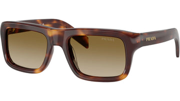 BROWN GRADIENT LENSES WITH HAVANA FRAME