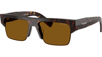 SOLID BROWN LENSES WITH HAVANA FRAME